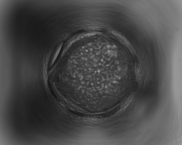 X0000087510729200705180954