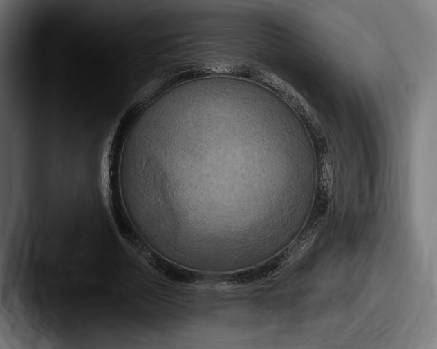 X0000087510730200705180954