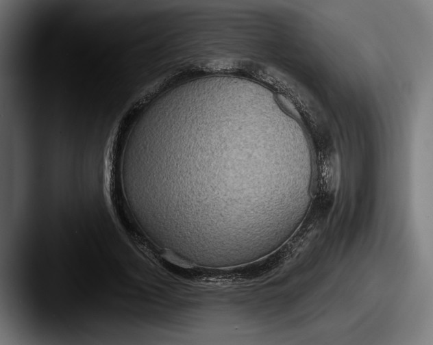 X0000087510732200705180954