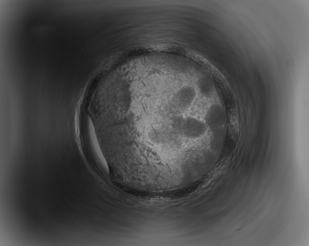 X0000087510734200705180954