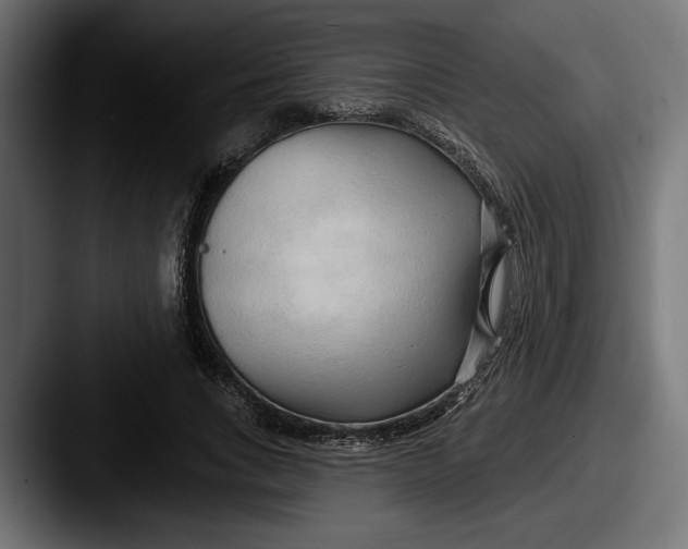 X0000087510735200705180954