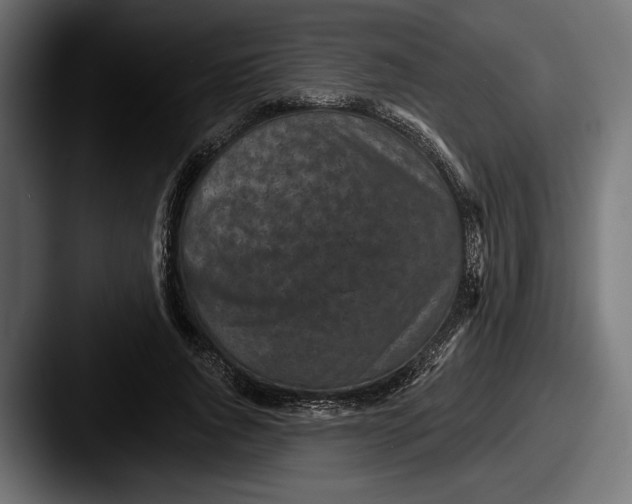 X0000087510736200705180954