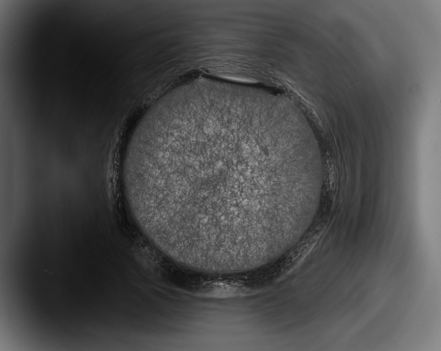 X0000087510737200705180954