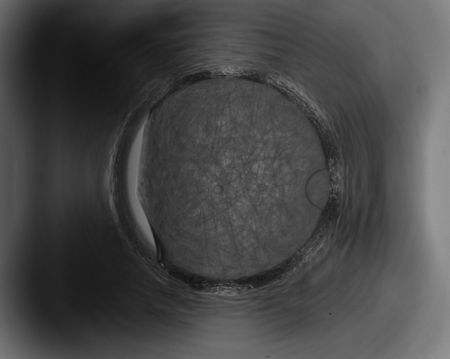X0000087510738200705180954