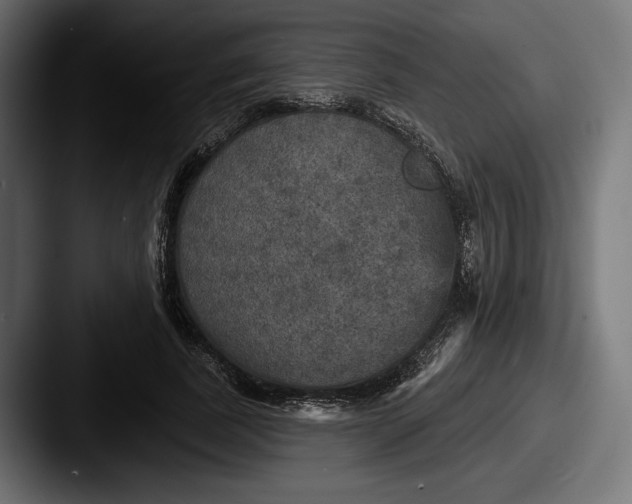 X0000087510739200705180954