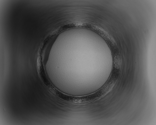 X0000087510740200705180954