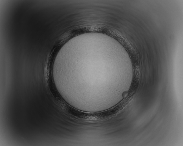 X0000087510741200705180954