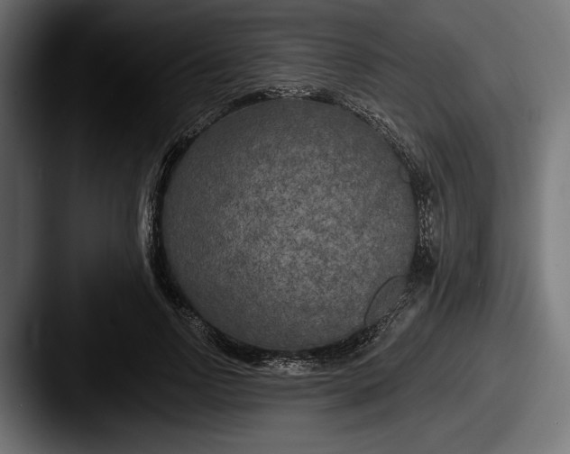 X0000087510742200705180954