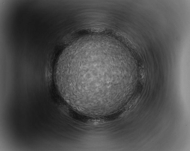 X0000087510745200705180954