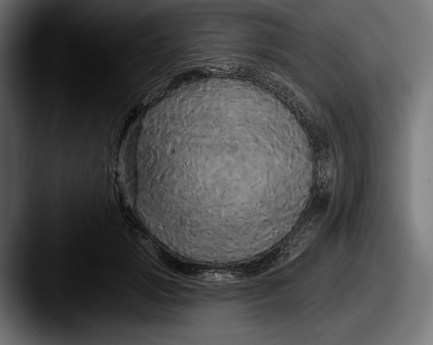 X0000087510749200705180954