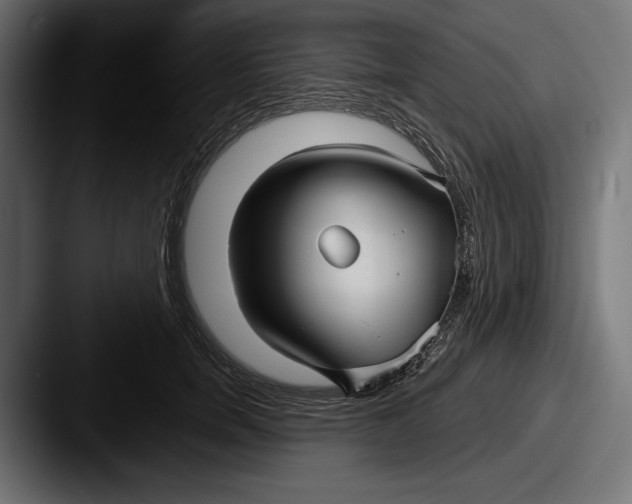 X0000087510750200705180954