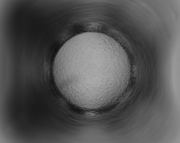 X0000087510753200705180954