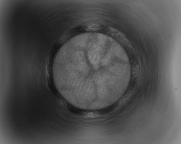 X0000087510755200705180954