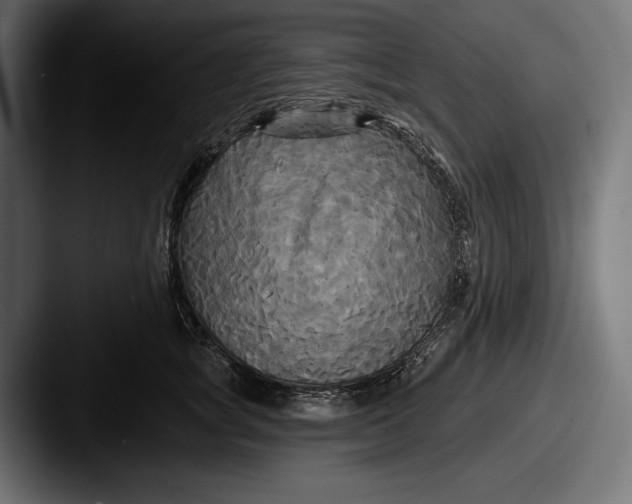 X0000087510757200705180954