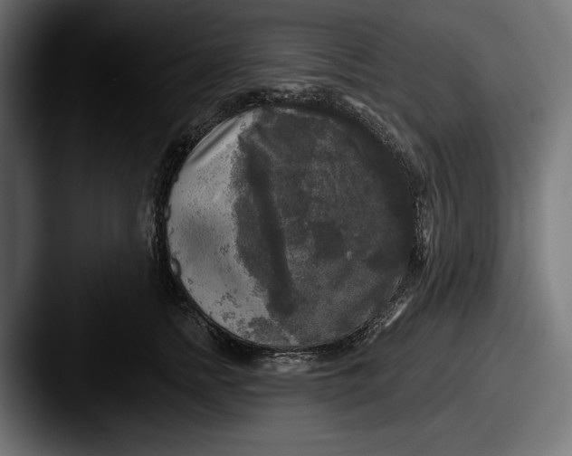 X0000087510758200705180954