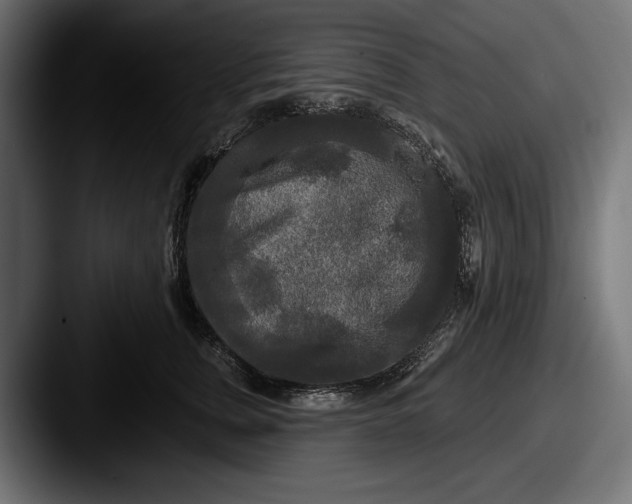 X0000087510759200705180954