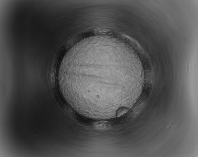 X0000087510761200705180954