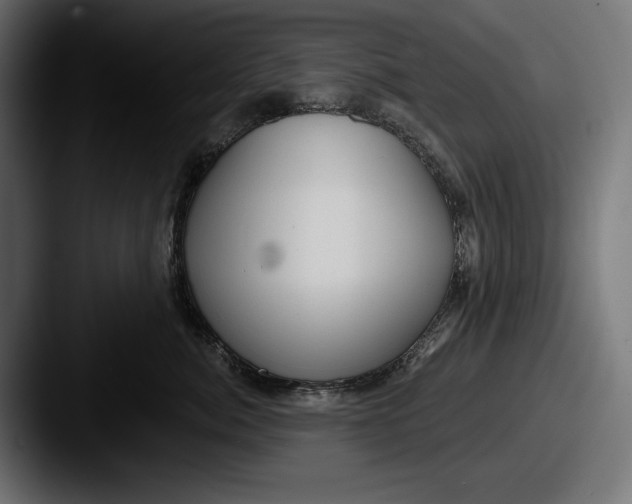 X0000087510764200705180954