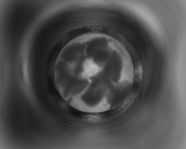 X0000087510765200705180954