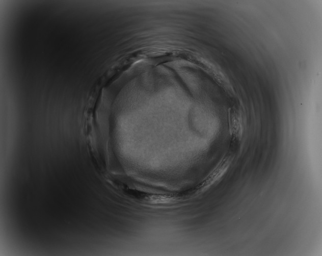 X0000087510766200705180954