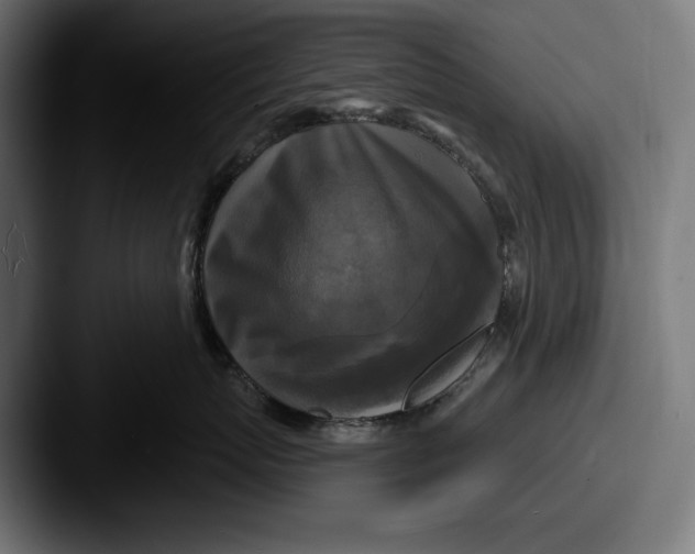 X0000087510767200705180954