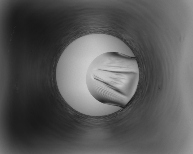 X0000087510768200705180954