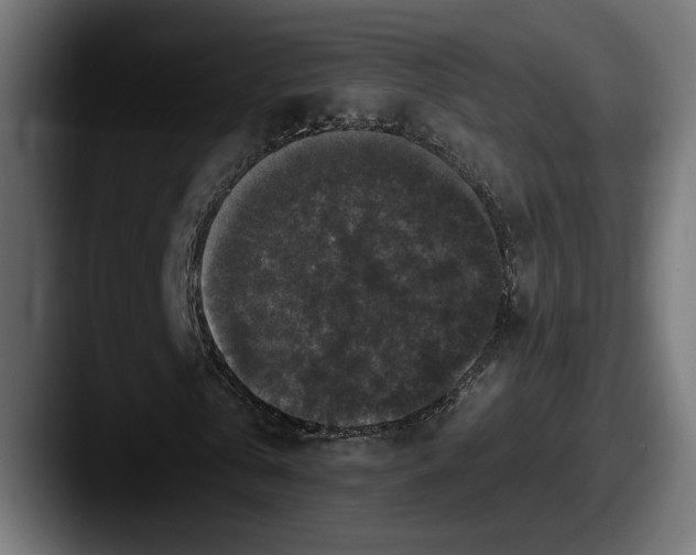 X0000087510769200705180954