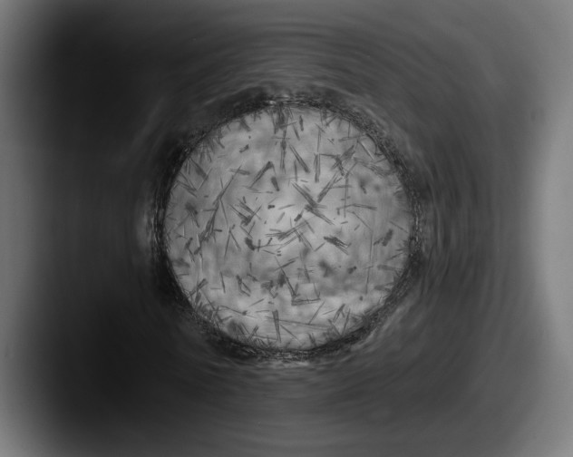 X0000087510770200705180954
