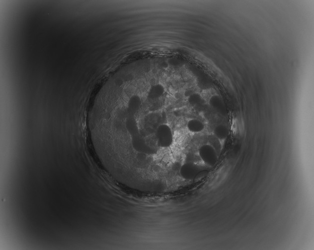 X0000087510771200705180954