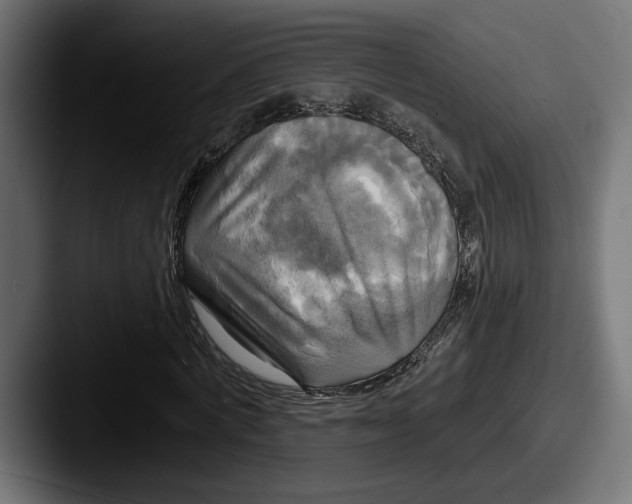 X0000087510772200705180954