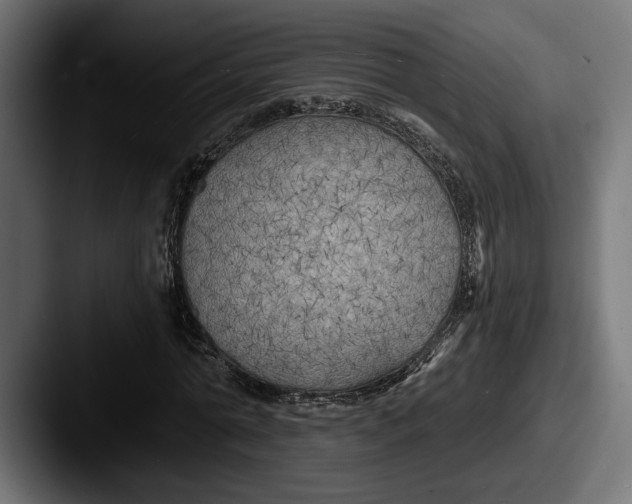 X0000087510774200705180954