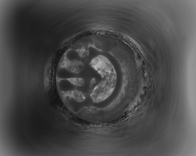 X0000087510775200705180954