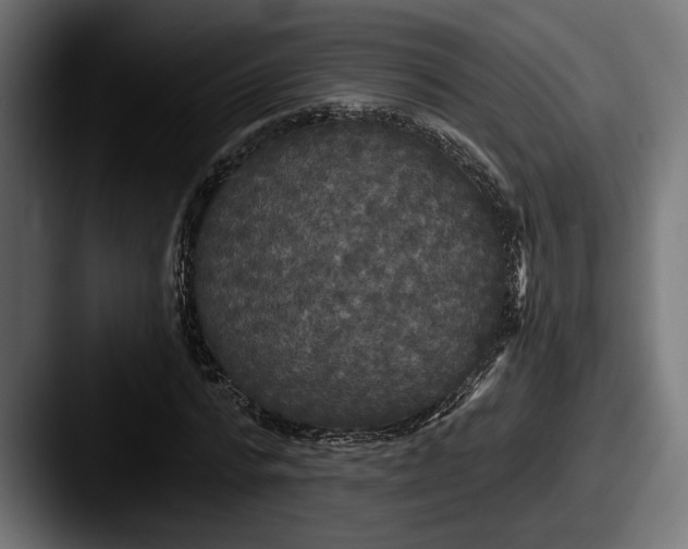X0000087510776200705180954