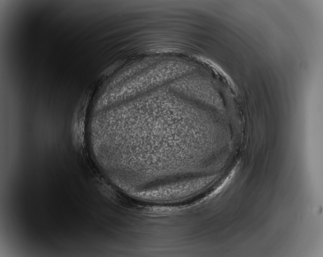 X0000087510777200705180953