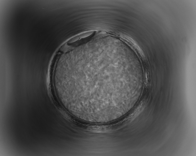 X0000087510780200705180953