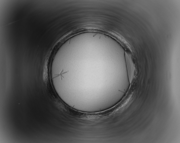 X0000087510782200705180953