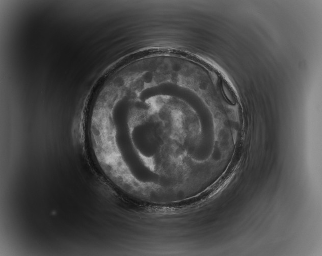 X0000087510783200705180953