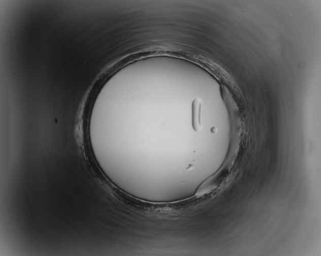 X0000087510784200705180953