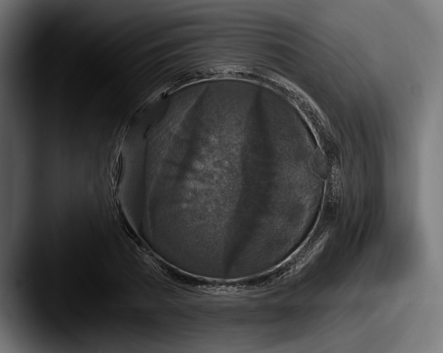 X0000087510785200705180953