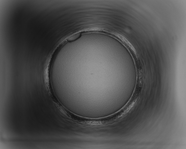 X0000087510789200705180953