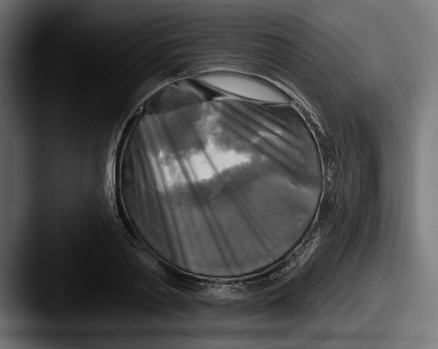 X0000087510790200705180953