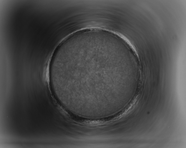 X0000087510791200705180953