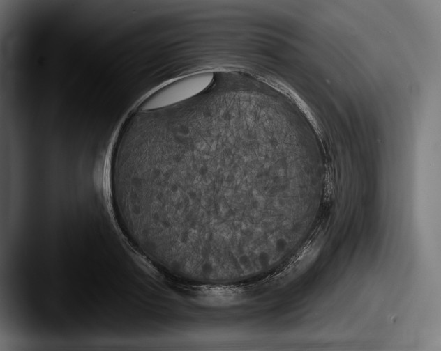 X0000087510795200705180953