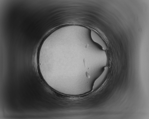 X0000087510796200705180953