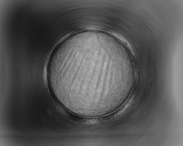 X0000087510798200705180953