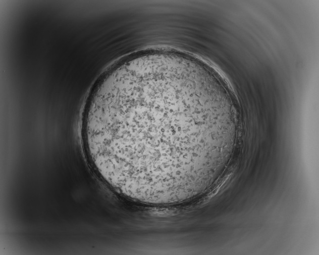 X0000087510799200705180953