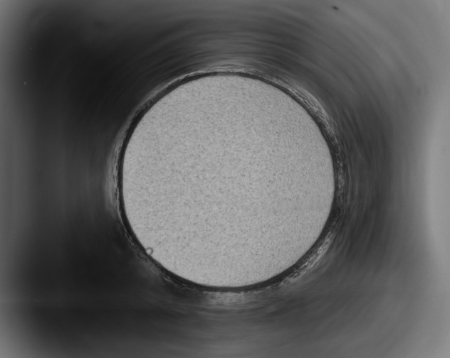 X0000087510800200705180953
