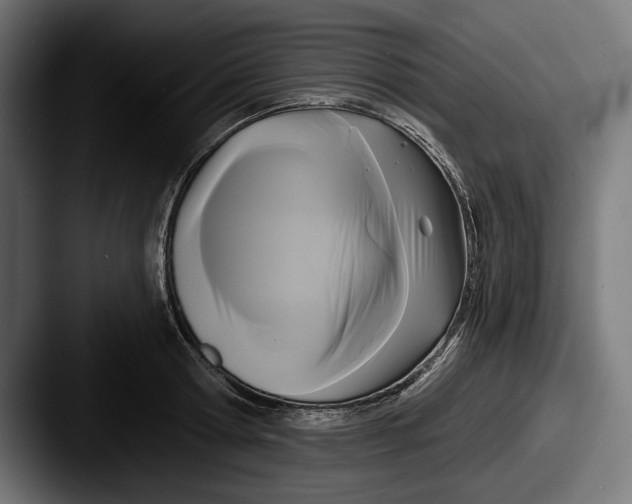X0000087510802200705180953