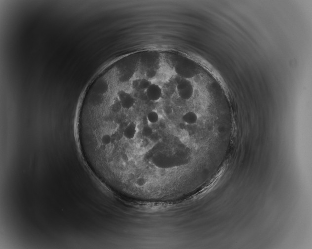 X0000087510803200705180953
