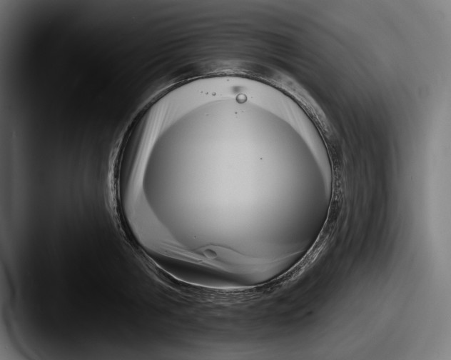 X0000087510806200705180953